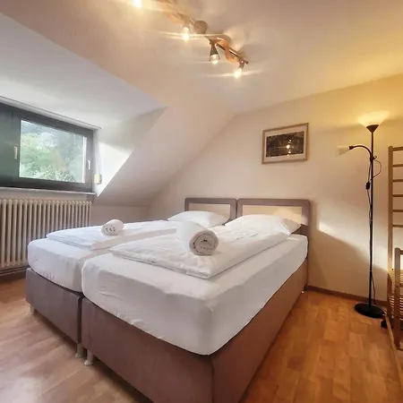 Bat Solutions Trier-euren - Alles Was Ein Nicht Bietet - 10 Min Zur Altstadt - 98 Qm Scheune Fuer 9 Personen Mit Sternenhimmel, Wintergarten, Grill Und Kino - Barrierefrei Dank Lift & Auffahrt Apartment Trier