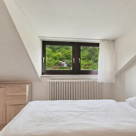 Apartment Bat Solutions Trier-euren - Alles Was Ein Nicht Bietet - 10 Min Zur Altstadt - 98 Qm Scheune Fuer 9 Personen Mit Sternenhimmel, Wintergarten, Grill Und Kino - Barrierefrei Dank Lift & Auffahrt Trier