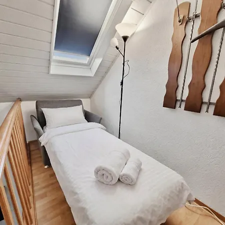 Apartment Bat Solutions Trier-euren - Alles Was Ein Nicht Bietet - 10 Min Zur Altstadt - 98 Qm Scheune Fuer 9 Personen Mit Sternenhimmel, Wintergarten, Grill Und Kino - Barrierefrei Dank Lift & Auffahrt